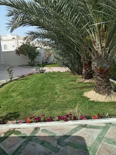 العشب