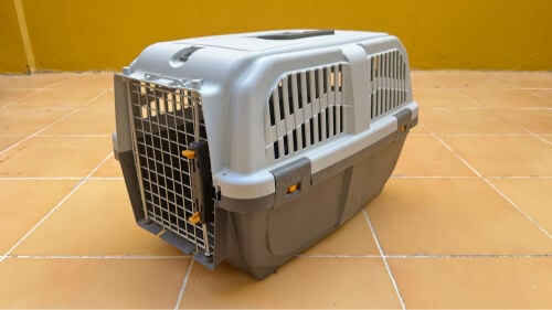 pet carrier