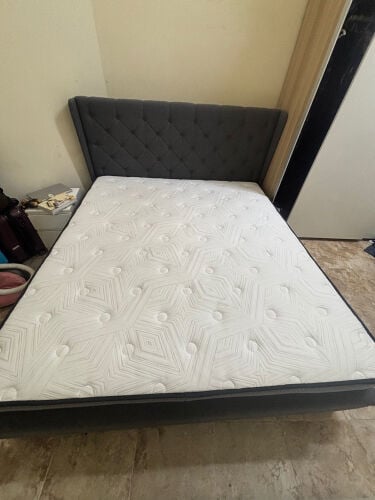 مرتبة 